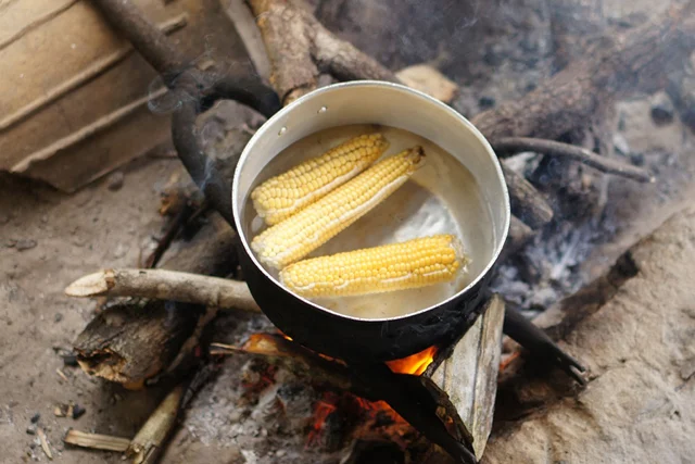 Estufa de leña