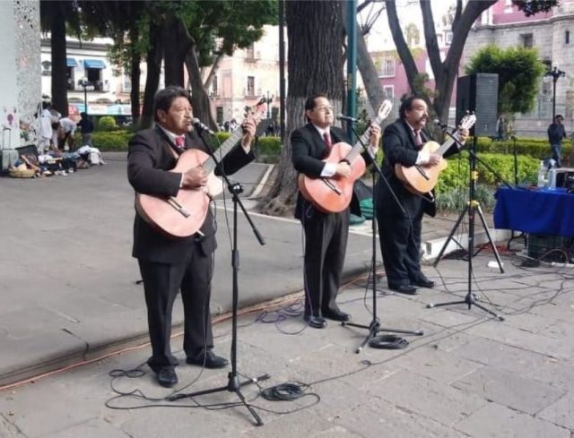 los grillos