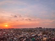El daño del ser humano a la naturaleza