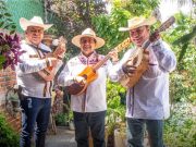 Nos acompaña el Grupo Yolixpa