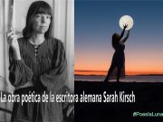 La obra poética de la escritora alemana Sarah Kirsch