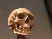 Nuestra extinción