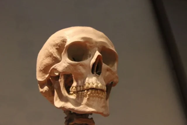 extincion humana