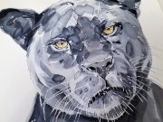 Lecciones de una madre jaguar