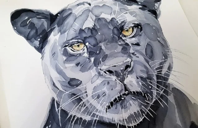 jaguar acuarela