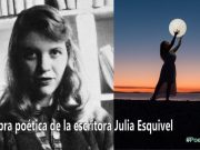La obra poética de Sylvia Plath