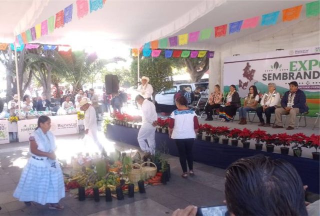 expo sembrando
