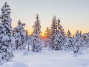 El solsticio de invierno 2024