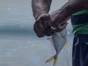 La pesca, el turismo y otras actividades económicas se potencian con tecnología