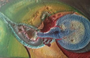 La importancia del Departamento de Biología de la Reproducción de la UAM