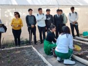 Relaciones democráticas en la escuela