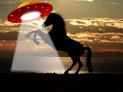 Operación “Caballo de Troya”