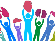 Desinformación y desconfianza frenan donación de órganos