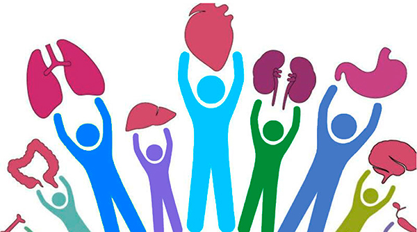 donación de órganos