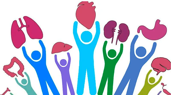 donación de órganos