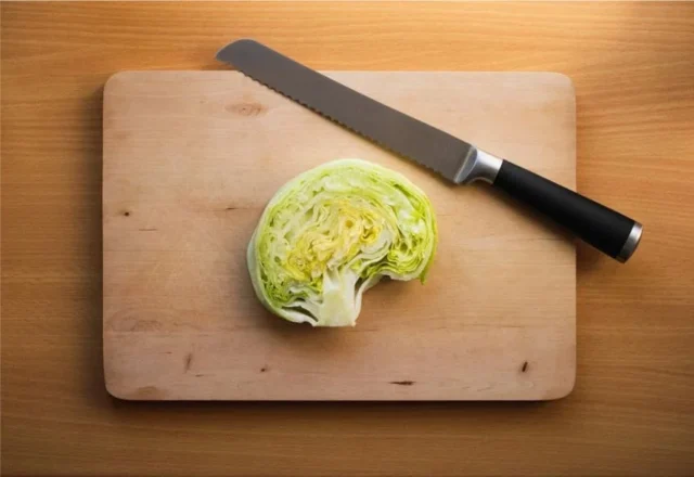 lechuga cerebro