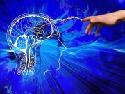 Crea IPN videojuego para rehabilitar extremidades superiores afectadas por accidente cerebrovascular