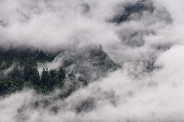 neblina
