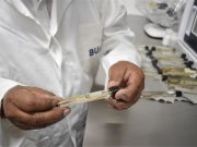 Académico del ICUAP investiga organismos del suelo que favorecen su fertilidad y conservación