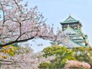 Palabras que sanan: sabiduría japonesa para el alma