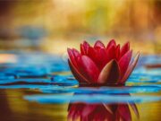 Por amor a uno mismo: egoísmo positivo