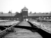Auschwitz: una experiencia difícil y dolorosa