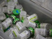 Pruebas de toxicidad en fármacos se deben actualizar