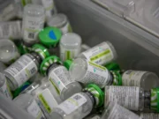 Pruebas de toxicidad en fármacos se deben actualizar