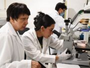 Con modelos computacionales, investigadores BUAP predicen y describen la regeneración epitelial