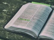 ¿Y qué dice la Biblia?