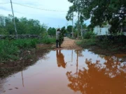 Amigo Chino Tarde lluviosa en Yaxcabás, Yucatán. Imagen Propia.