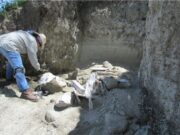La arqueología a nivel de aficionado ¿de que se trata?