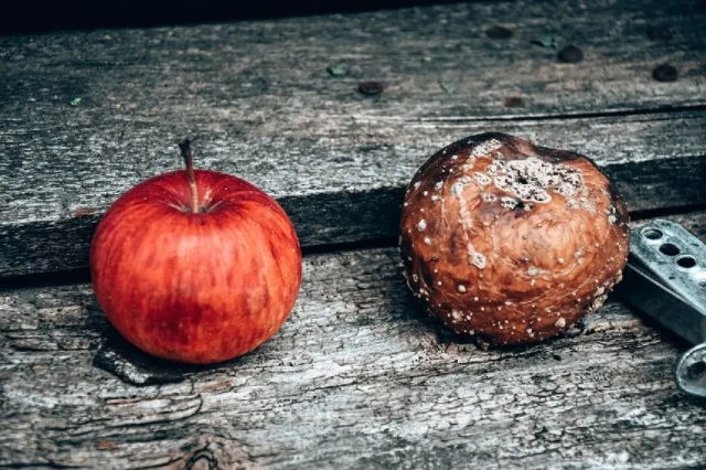 fruta podrida