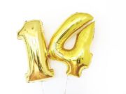 Celebrando los 14 años de Huecanías