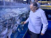 Salvador Calva Morales amplía su experiencia en vida marina durante visita al Dubai Aquarium & Underwater Zoo