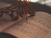 El efecto curador de la poesía
