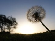 ¿Cómo expandir tu conciencia?