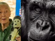 Abel Pérez Rojas y Salvador Calva Morales lamentaron el fallecimiento de Jane Goodall