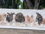 Con amor y respeto a los animales