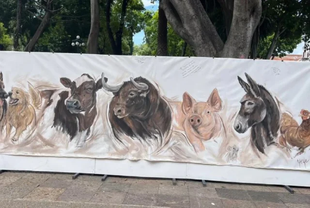 derechos animales