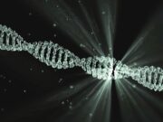 El ribosoma: el copista alquimista del cerebro