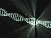 El ribosoma: el copista alquimista del cerebro
