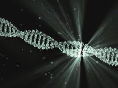El ribosoma: el copista alquimista del cerebro