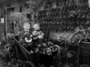 Las estatuas cobran vida