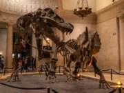 Conociendo mis Museos en Puebla