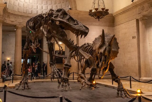 museos