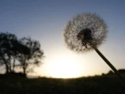 Consciencia y gratitud