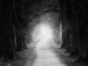 Investigando el Camino de las Ánimas