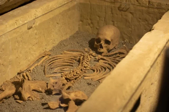 huesos historia