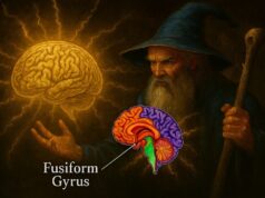Borges y el cerebro: Neurobiología de la irrealidad
